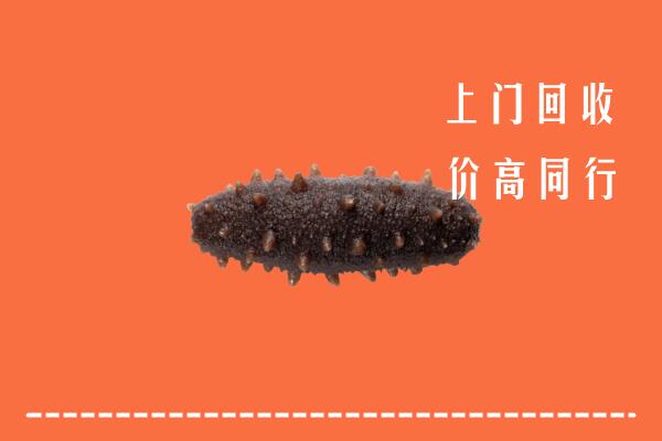 高价求购：单县回收海参